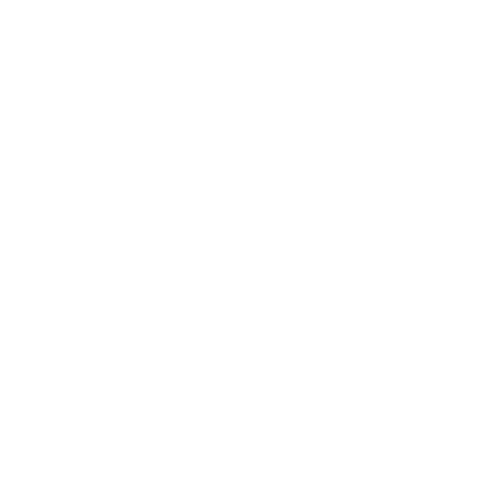 Logo Blanc sur transp