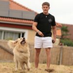 Un chien se promenant avec son maitre